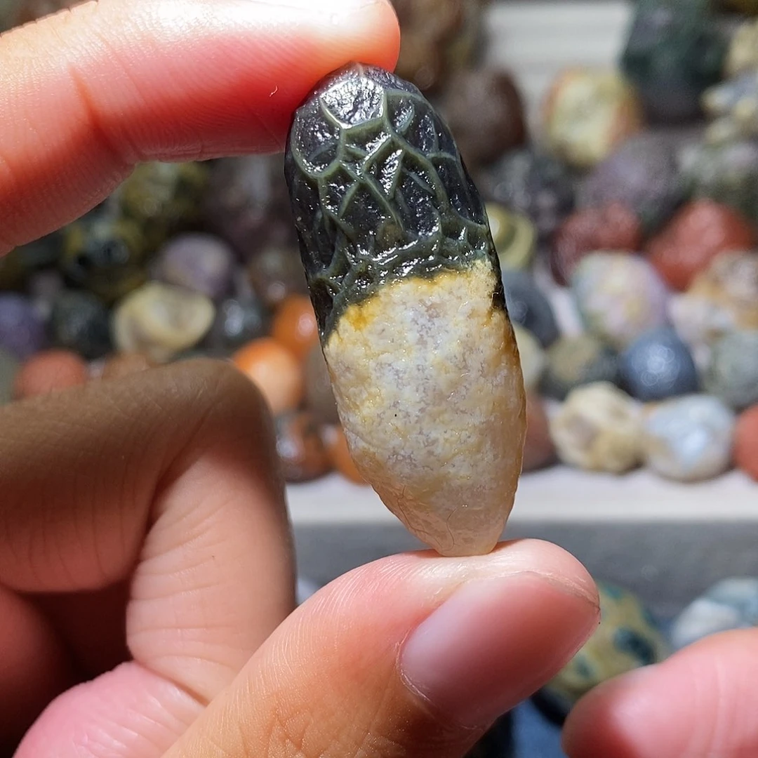 石头精品筋脉单科