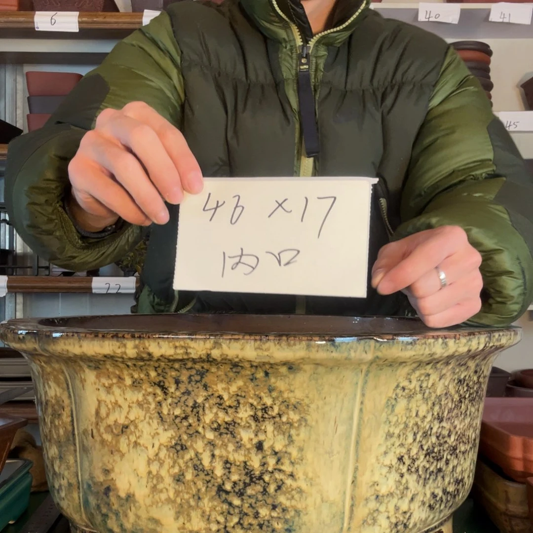 给他方法复古黄褐斑