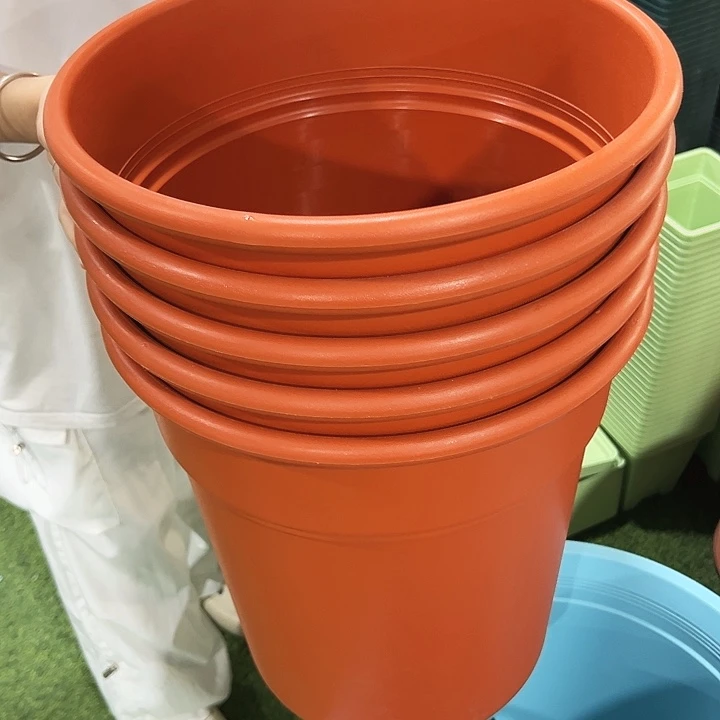 特价翻边口32高35陶红无托5只