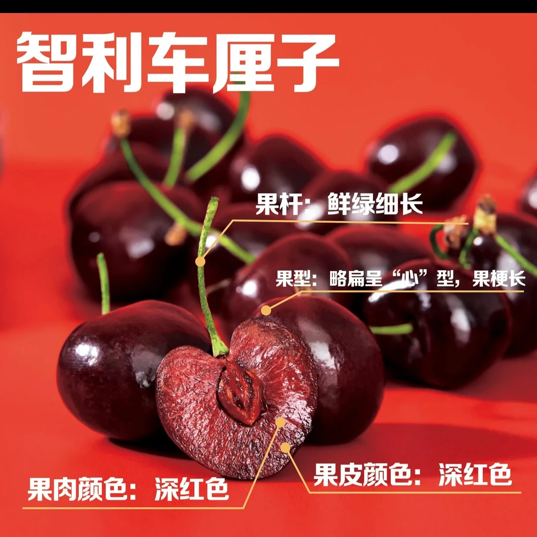 【福利补贴】38.8元车厘子单JD两斤