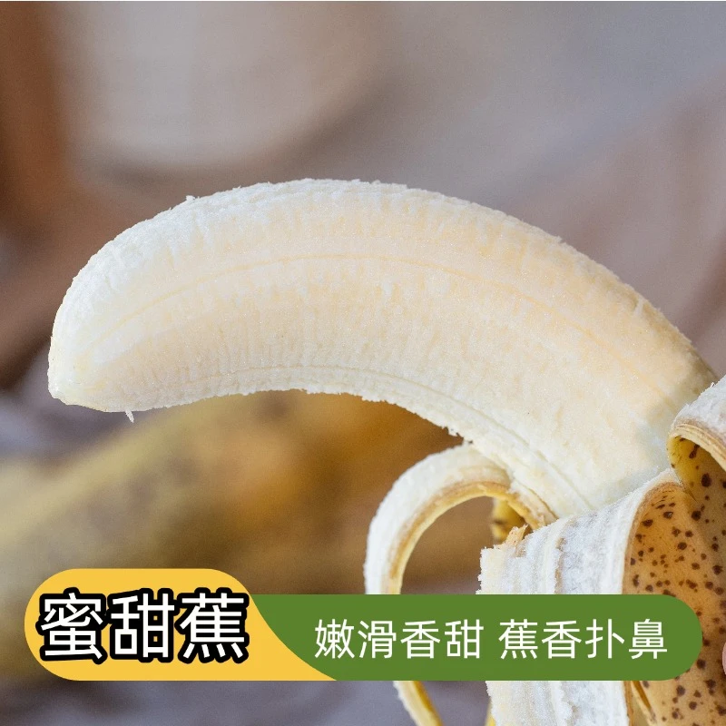 【顺丰包邮】香甜蕉新鲜当季水果纯甜口感现摘现发树熟采摘