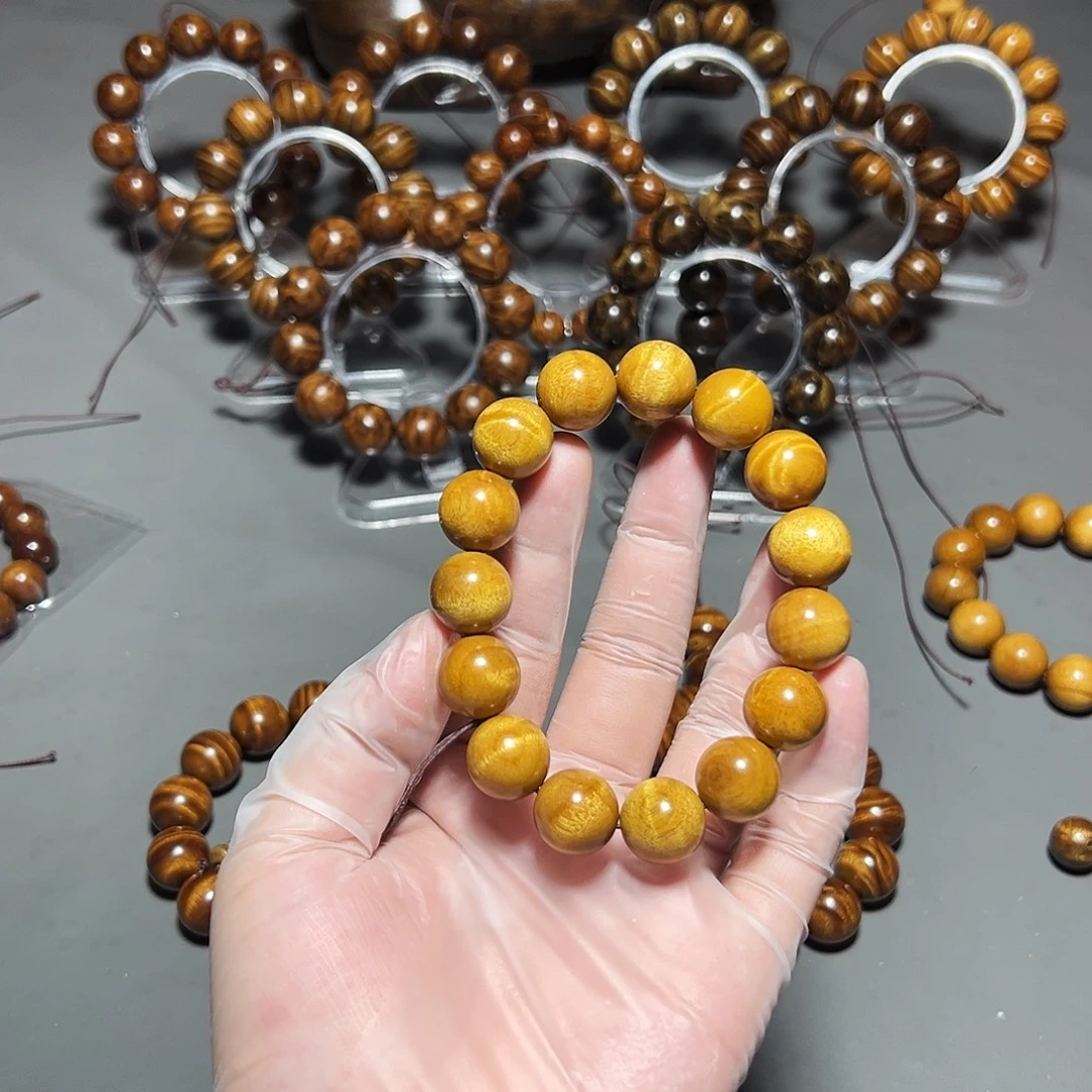 金丝楠金丝楠小叶桢楠1.5黄金底