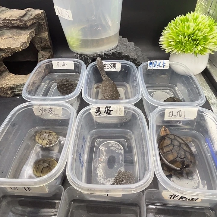 L****人你你你你你你你你你