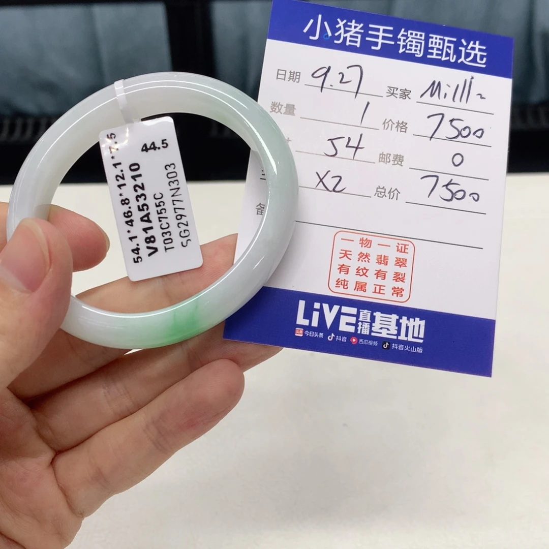 未镶嵌手镯翡翠?****a