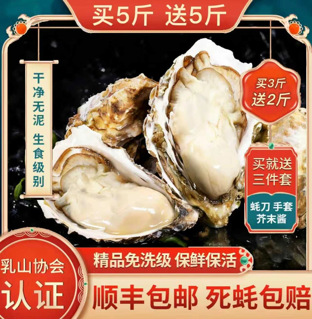 【买5斤送5斤】正宗乳山鲜捕冷水生蚝牡蛎原产地包邮海蛎子肥鲜美味