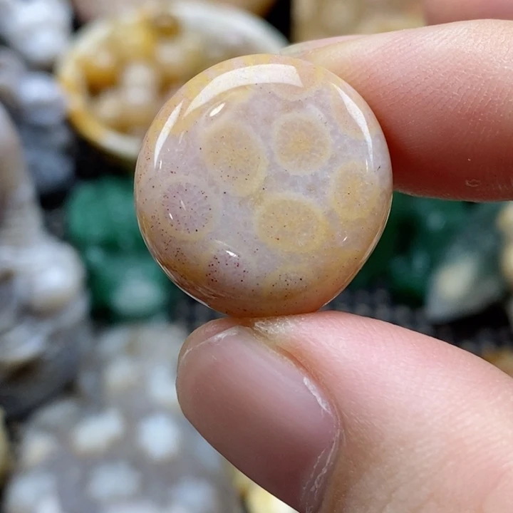 硅化珊瑚（珊瑚玉）颈饰未镶嵌