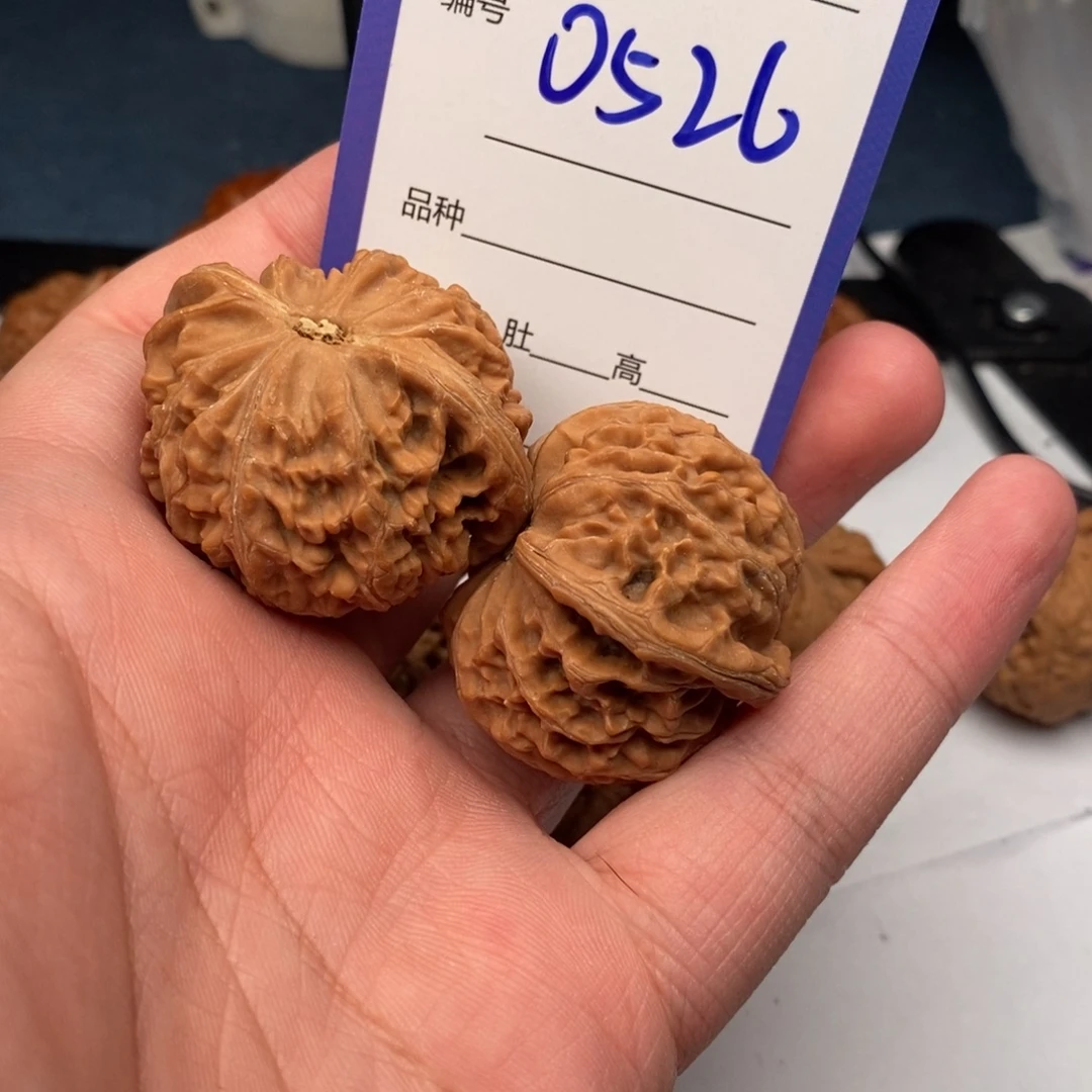 文玩核桃把件0526