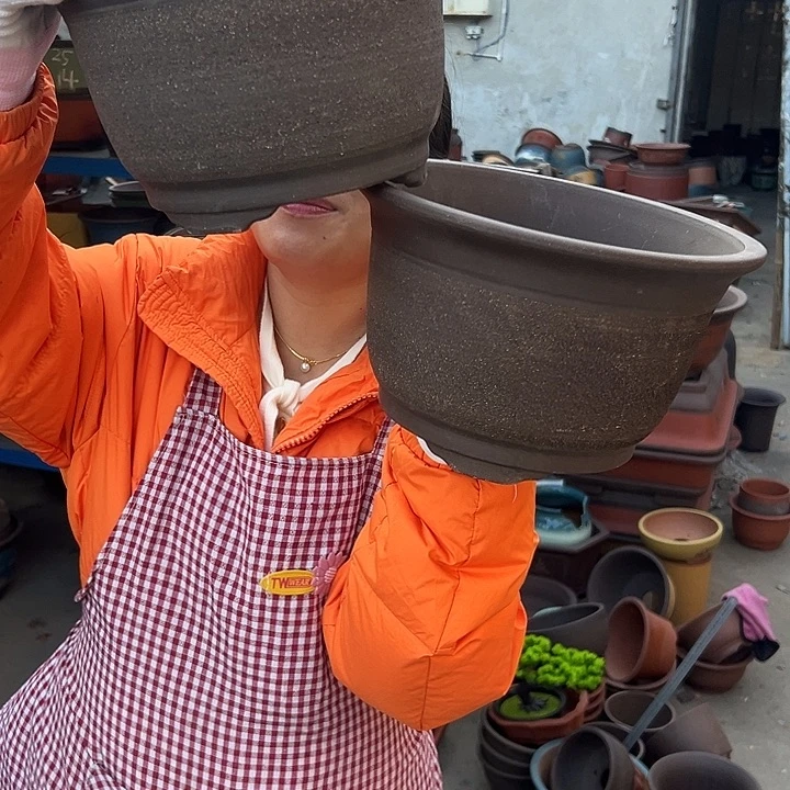 20+20拉毛小马花盆花盆花盆