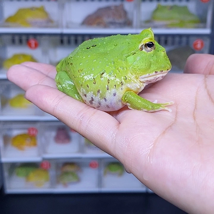 特价秒杀特价原价