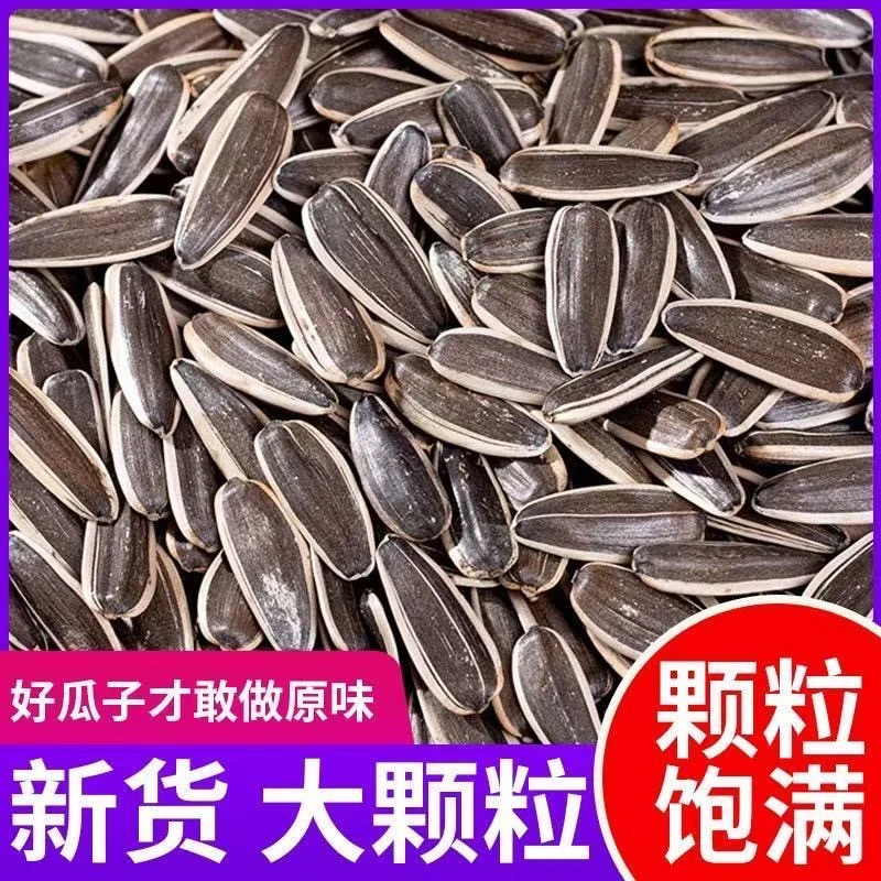 买一斤送一斤【到手2斤】原味熟瓜子葵瓜子休闲小零食3