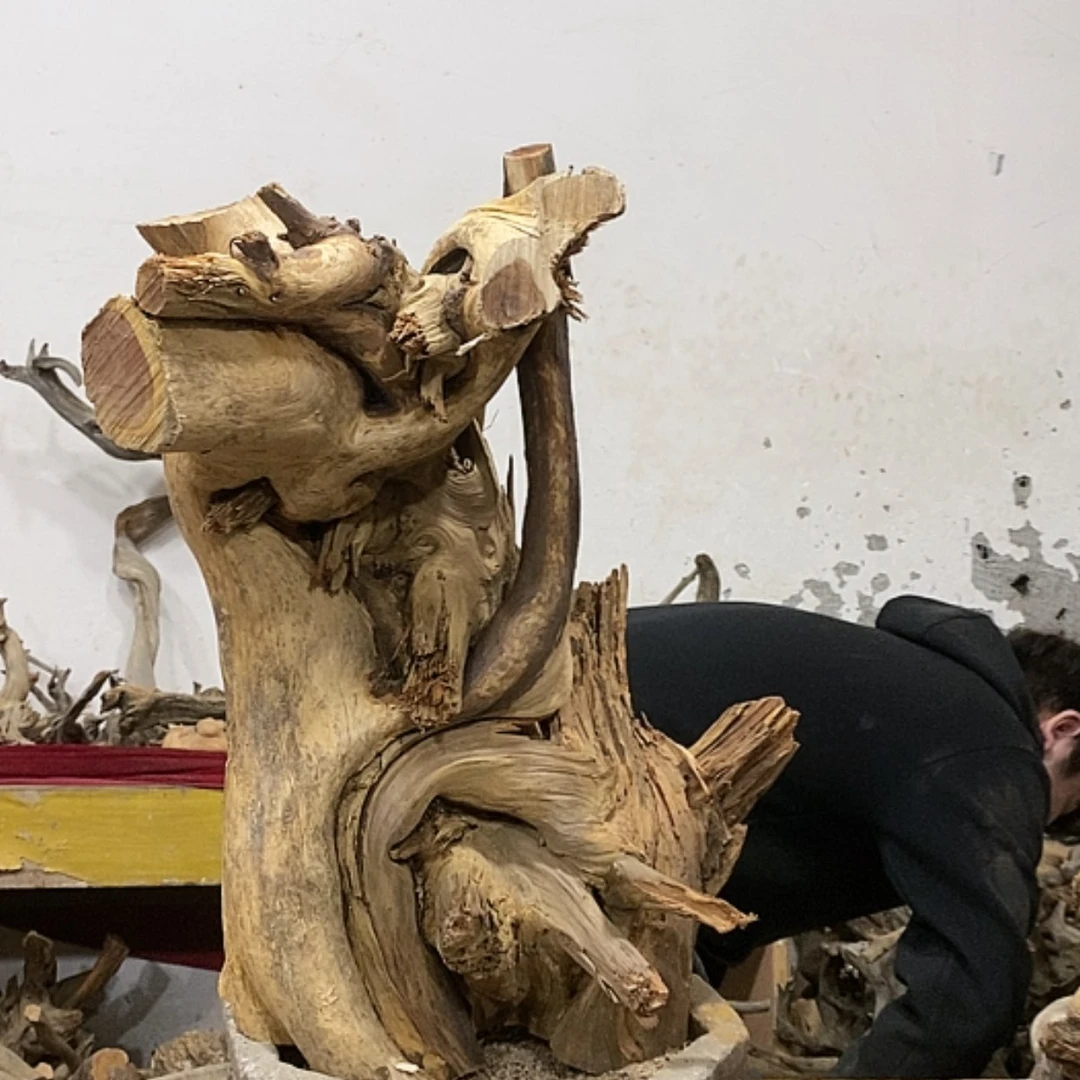 【闪购商品】柏木上****签我们都是好孩子