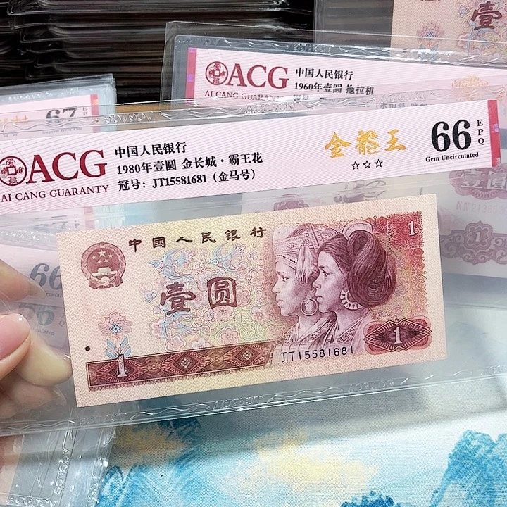 15581681。金马号 金龙王 三标和一