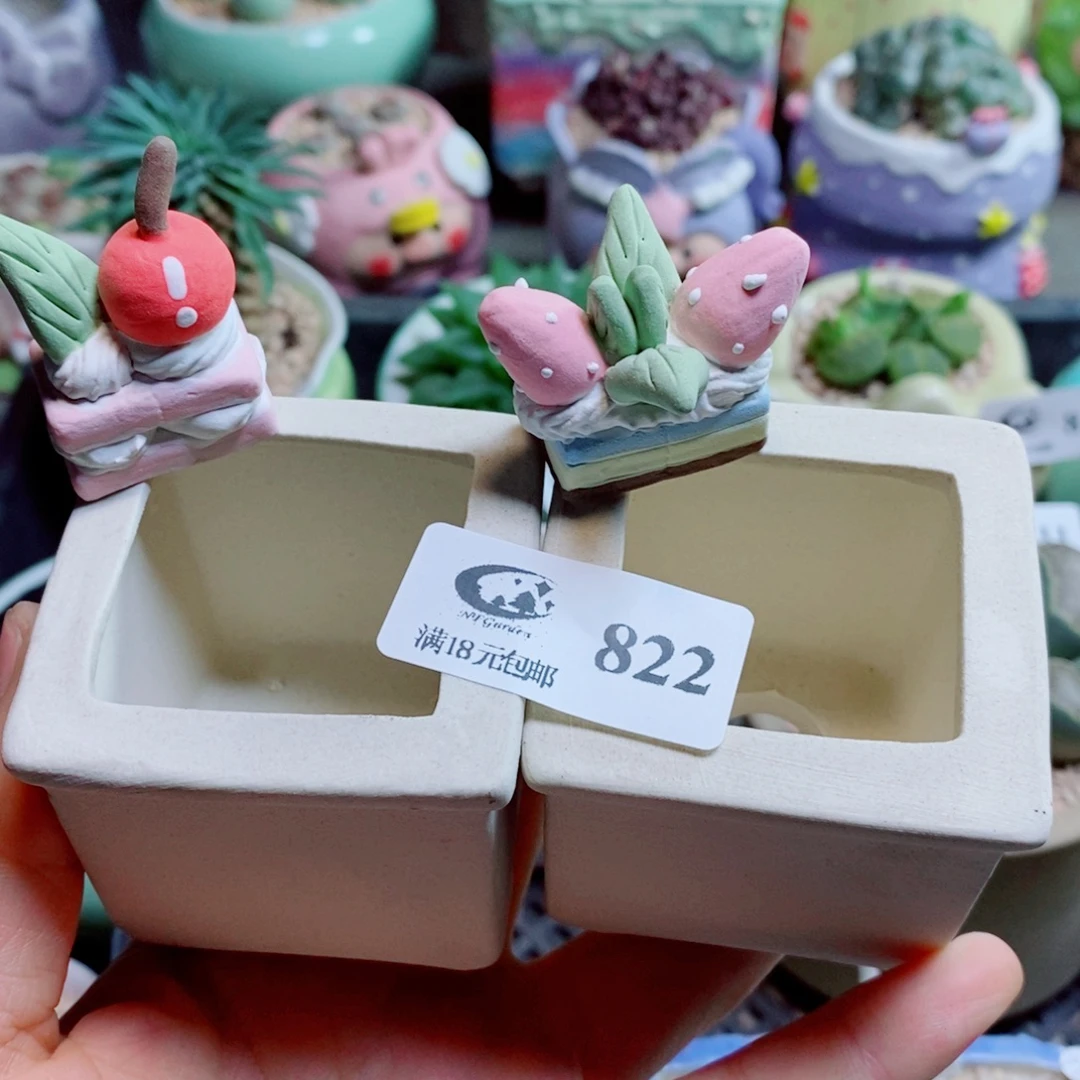 啾***啾生石花花花花花花花822