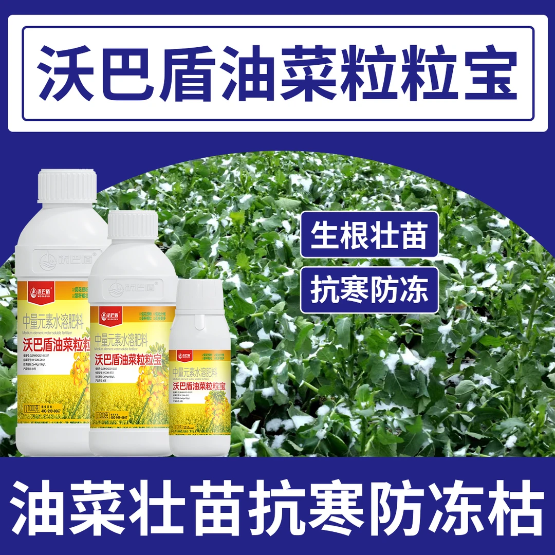 沃巴盾油菜粒粒饱促花授粉茎秆粗壮提质增产籽粒饱抗倒伏叶面肥