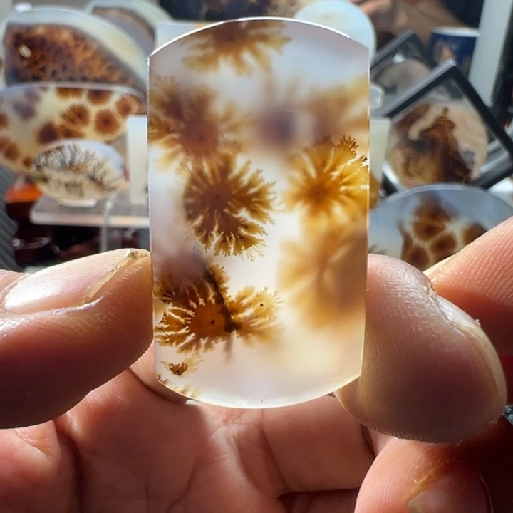 未镶嵌玛瑙/玉髓珠宝奇石