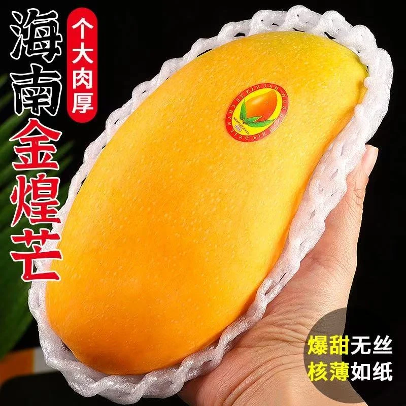 【正宗海南发货】金煌芒5/9斤新鲜水果香甜多汁果坏果包赔 非大青芒