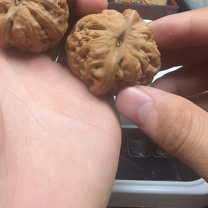 ****‍龙脊菩提吊坠啊啊啊啊啊元宝10