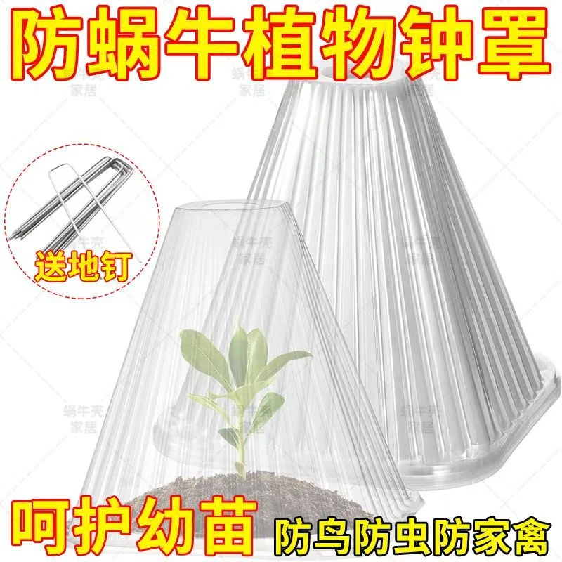 可重复使用育苗塑料保护罩植物免受鸟类霜冻蜗伤害防冻幼苗透明罩