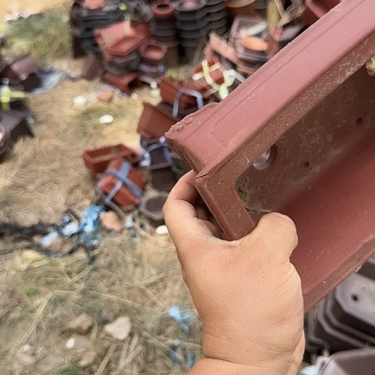 一哈打个给小女孩的号码过来