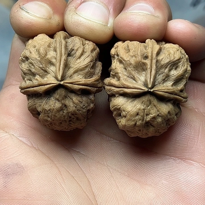 把件文玩核桃33号鸡皮疙瘩三楞34尺