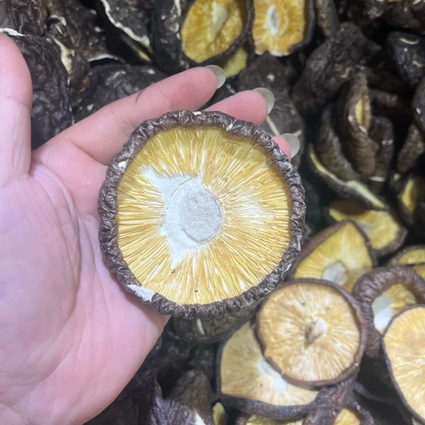 香菇中的爱马仕（挖心的带脚的香菇）图片是本人自拍的，肉厚好吃。