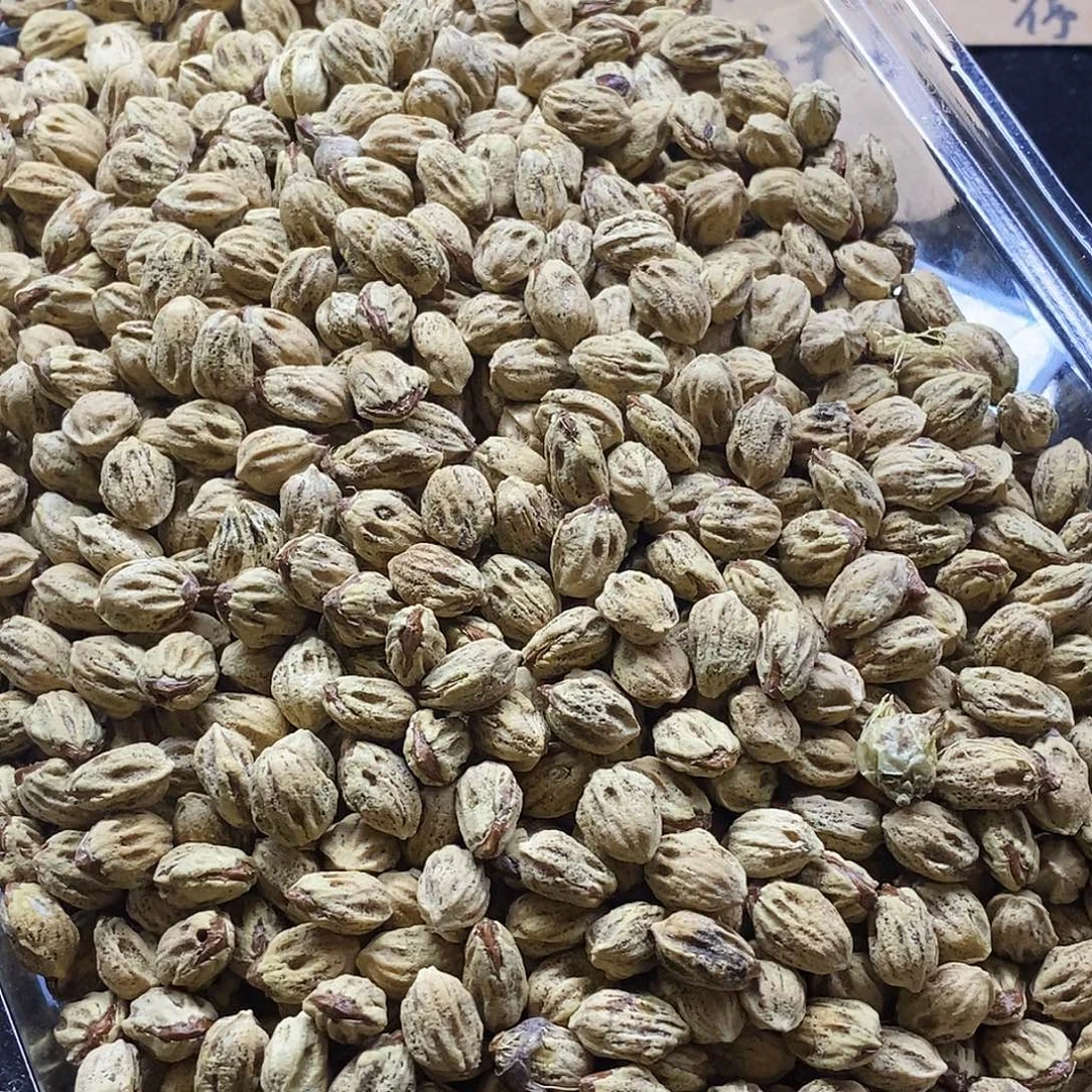 奋***子柏香籽/百香籽手串