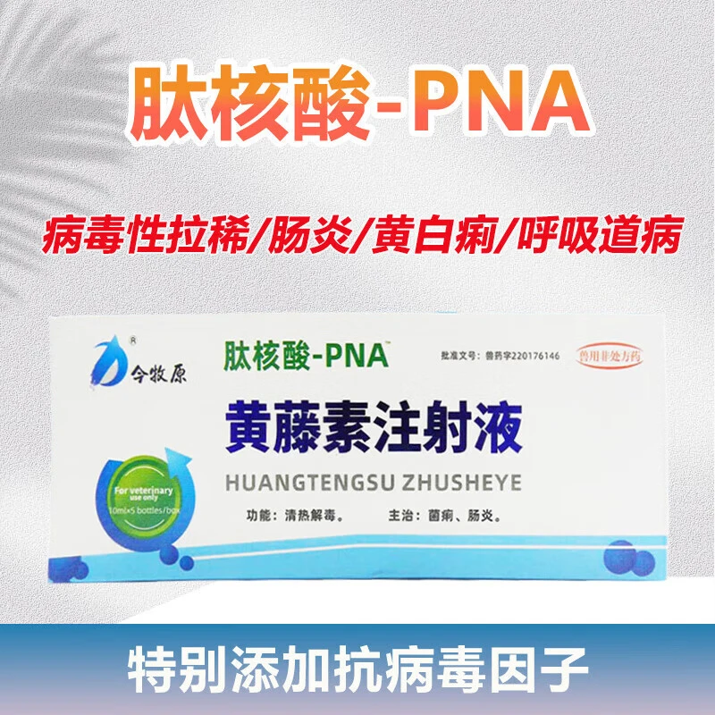 今牧原肽核酸黄藤素注射液兽用猪牛羊顽固病毒拉稀黄白痢呼吸道