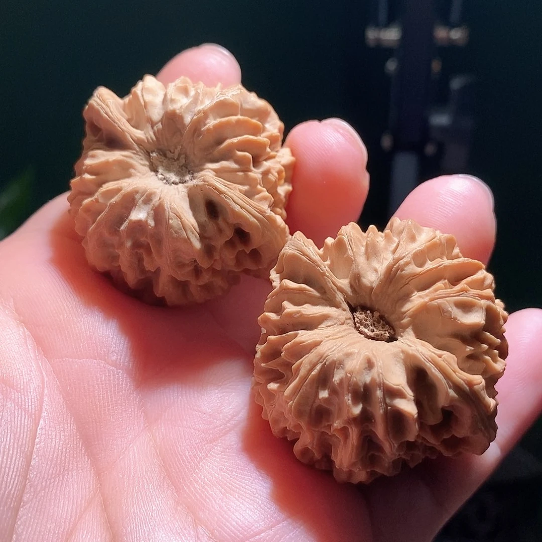 把件文玩核桃42龙门涧全品