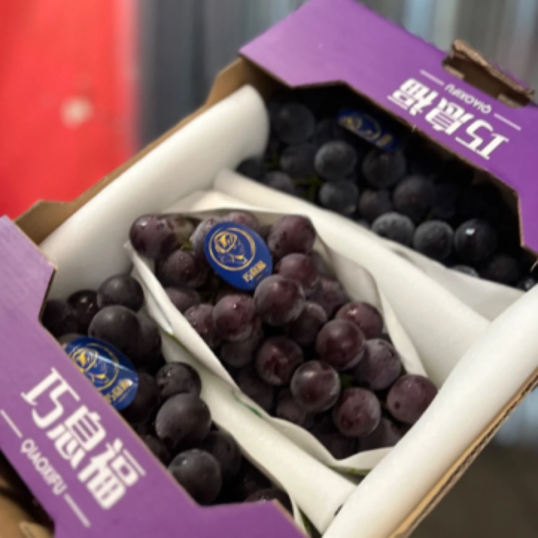 巧息福黑珍珠葡萄5.5斤毛重礼盒3串云南省