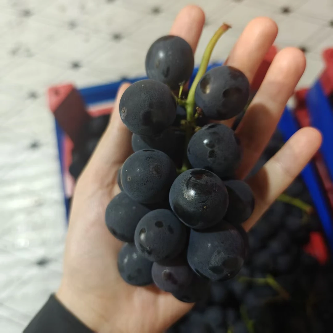 巨峰葡萄（两斤装）上海市