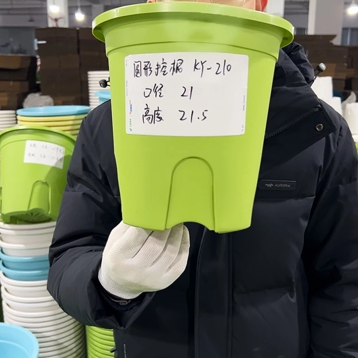 正品圆控口21高21果绿8只无托