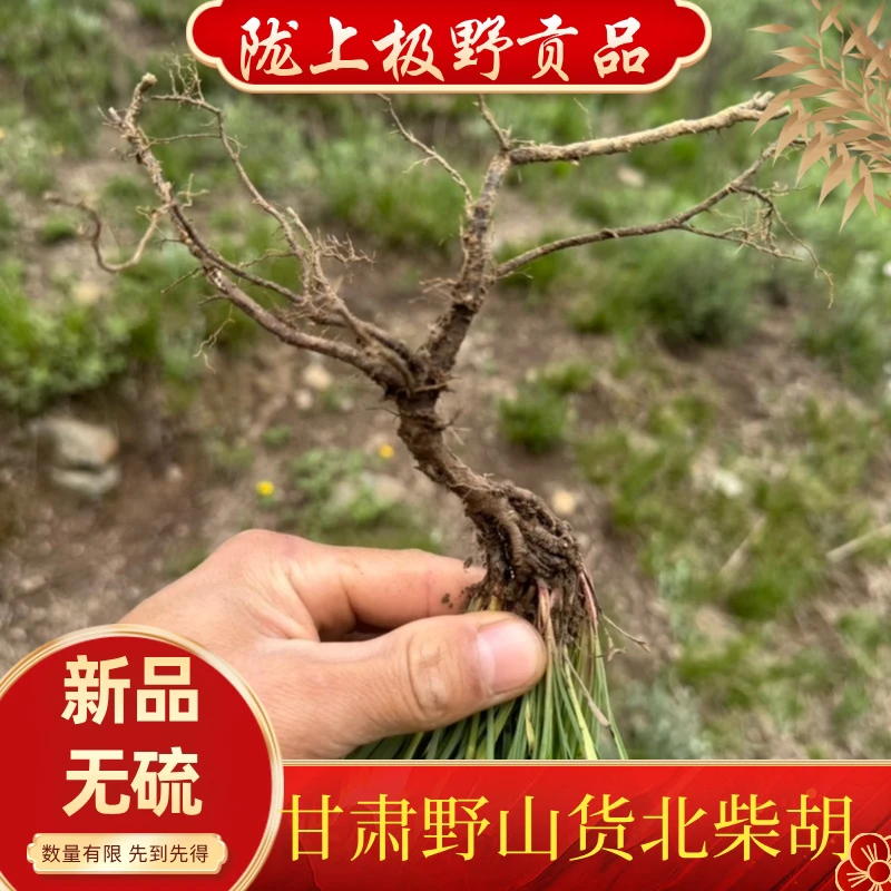 甘肃野山货。北柴胡 小柴胡 黑柴胡自己挖自己晒的150克包邮