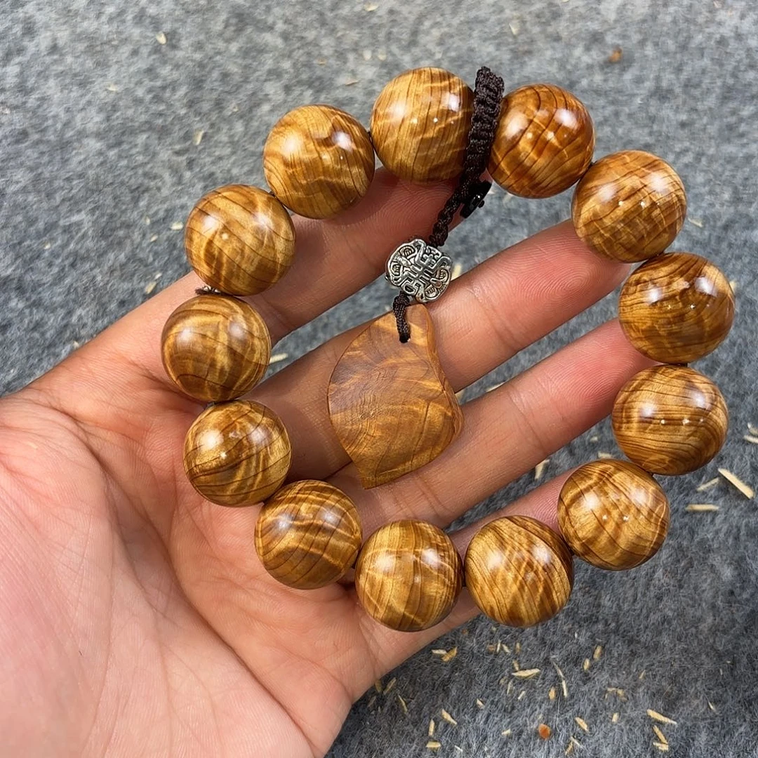任***遥崖柏太行崖柏爆满碎花无敌龙胆1.8典藏臻品系列