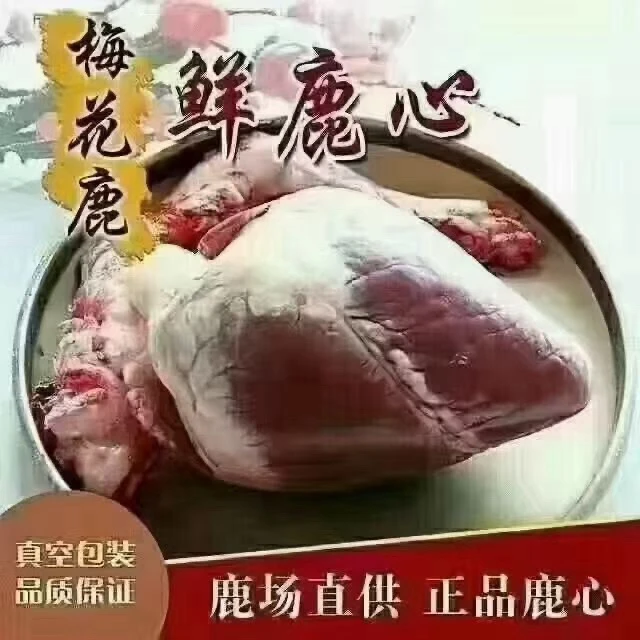 现杀梅花鹿鲜鹿心顺丰空运到家