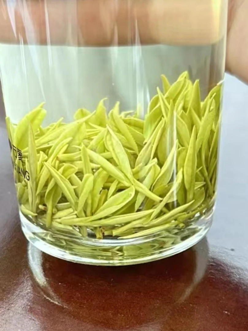 2025黄金芽 原汁原味庐江县龙源茶叶批发部