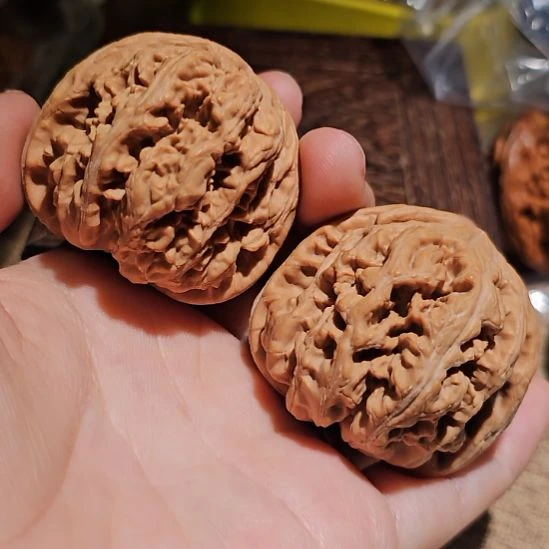 小***鱼文玩核桃吊坠44粗筋