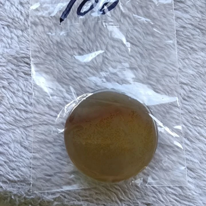 龙***阁石英质玉手串未镶嵌