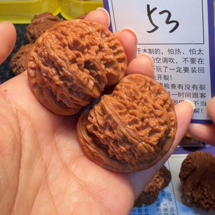 文玩核桃把件53白狮子44