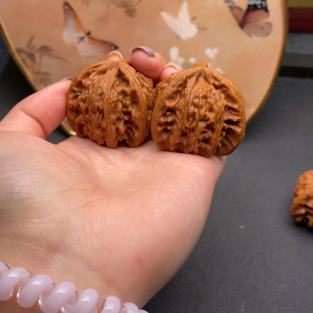 忘****缘白狮子111111111111