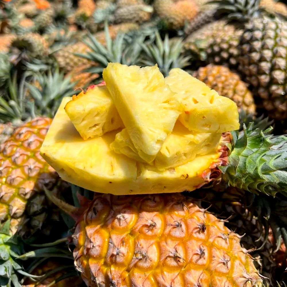 【新农人推荐】---凤梨