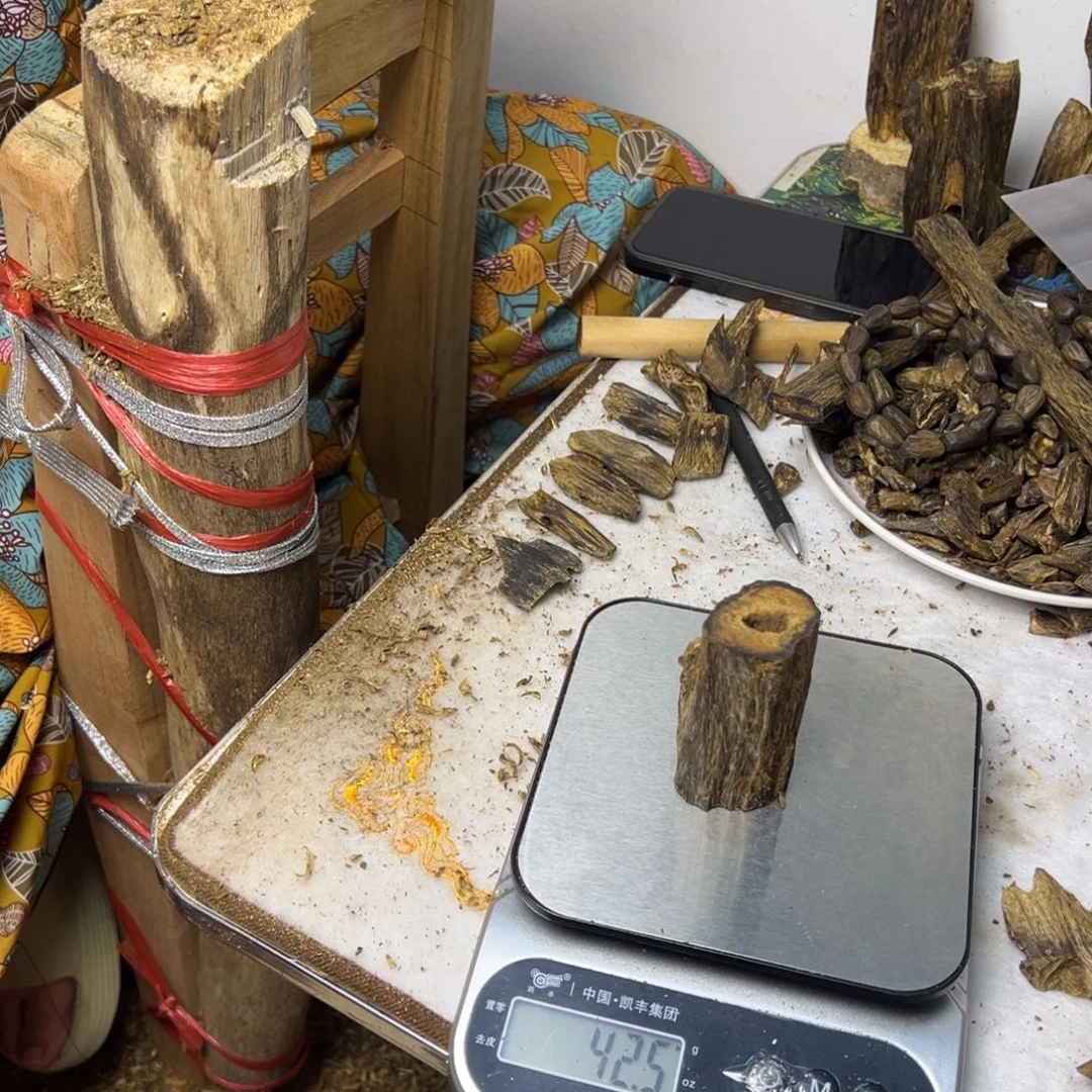 线香奇楠虫漏香42克