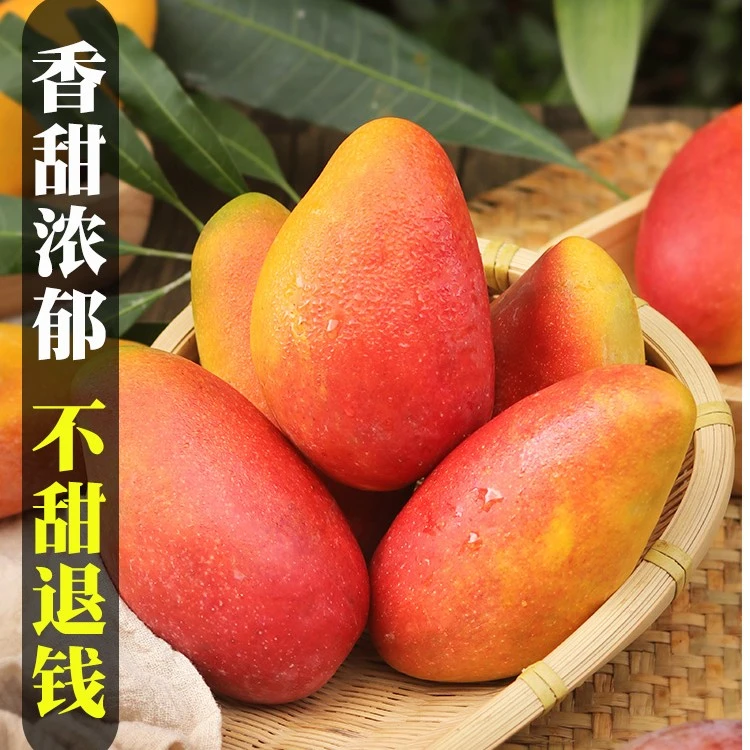 广西百色贵妃芒新鲜水果应当季热带芒果大果3斤