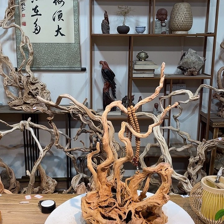 香榧木杜鹃根天然根艺三