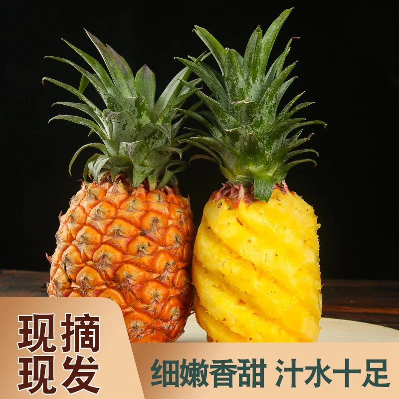 【正宗凤梨】海南金钻凤梨新鲜应季水果现摘现发整箱包邮