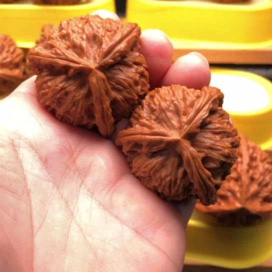 驾***练核桃核桃咯核桃核桃