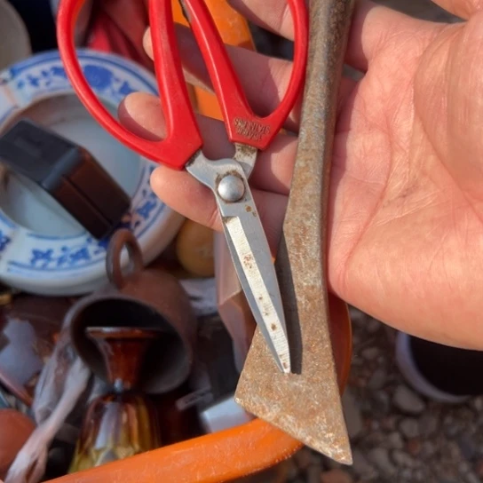 h***z杂色豆（科檀/科特迪瓦檀木）