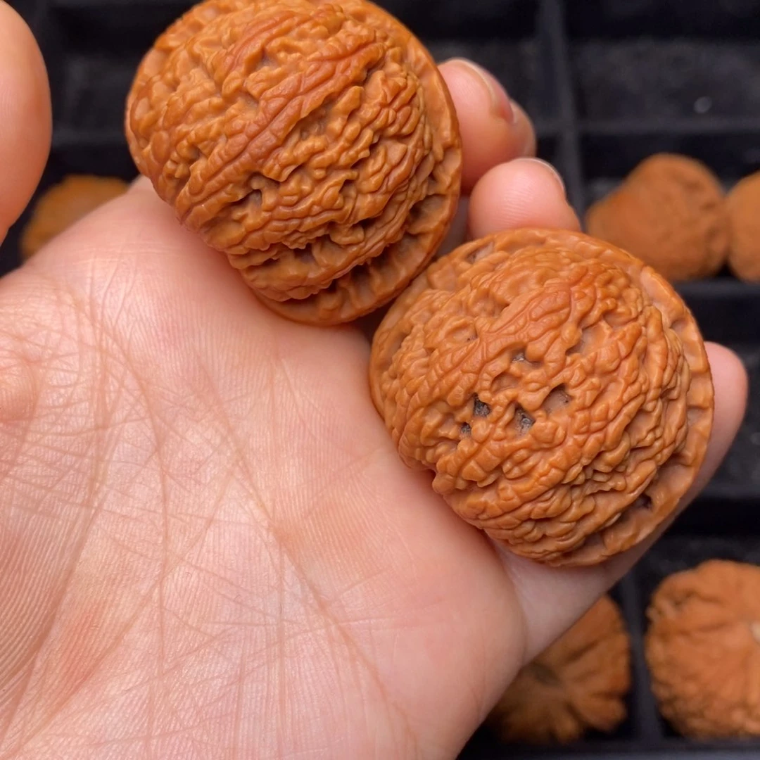 文玩核桃把件秦岭野生核桃