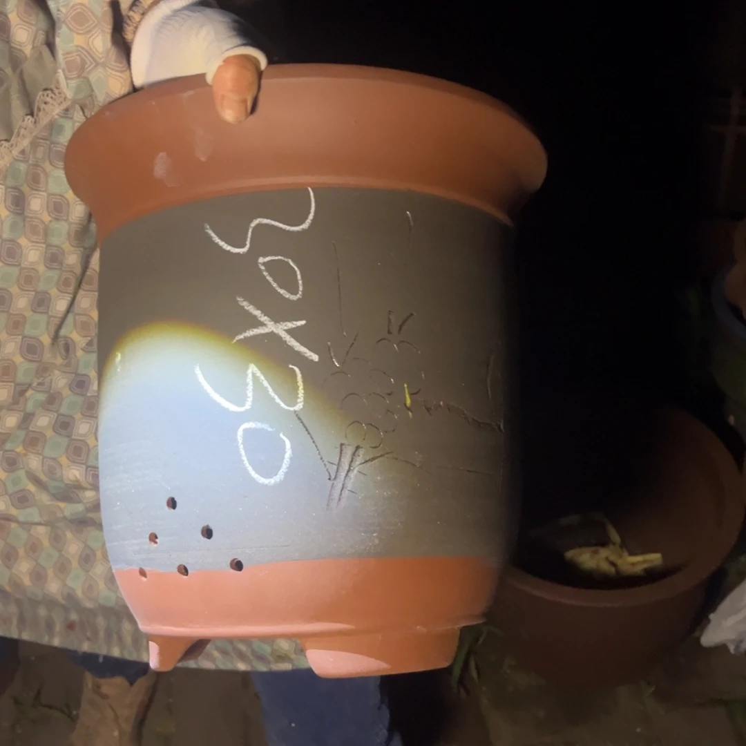紫砂花盆紫砂花盆