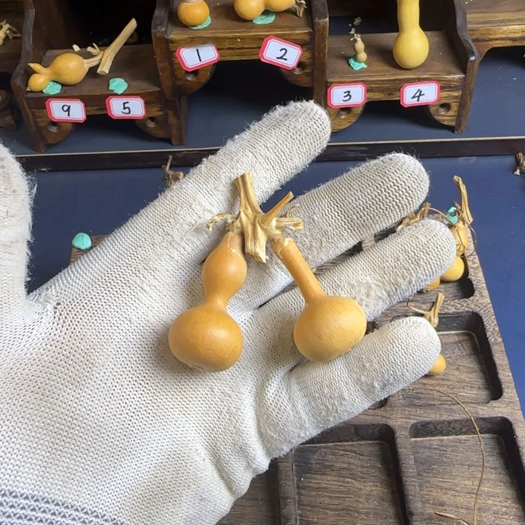 天***毒我是一只小小鸟地域鬼的人都