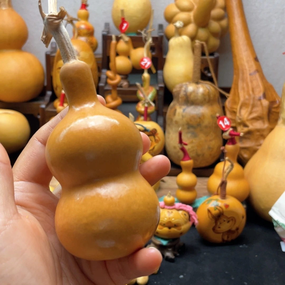 古*古大自然的秘密第十节第